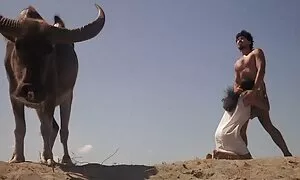 نوزاد بزرگ فیلم سکسی زنان همجنس باز ناله در سوراخ