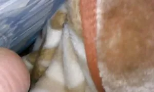 ورزش ها با جوانان بزرگ لمس همسایگان. فیلم سکسی کس کردن